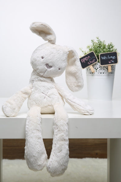 Baby Shower Ideas - Bunny  Rabbit