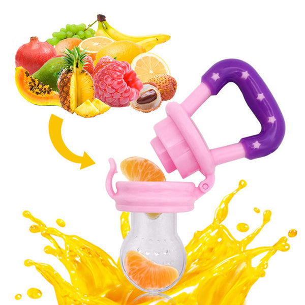 Baby Fresh Food Pacifier
