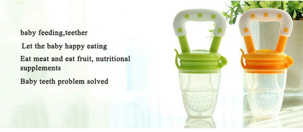 Baby Fresh Food Pacifier