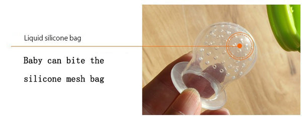Baby Fresh Food Pacifier