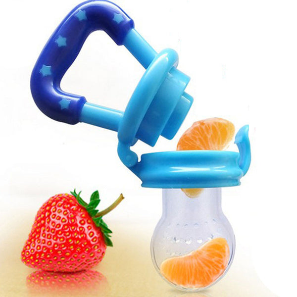 Baby Fresh Food Pacifier