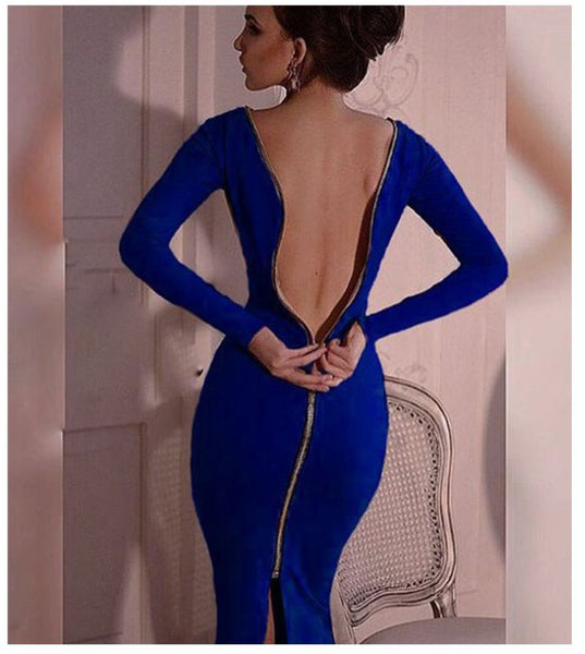 Bold Proposal Long Zipper Dress